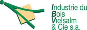 IBV Logo